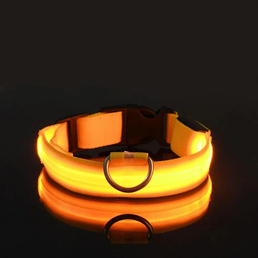 Luminous Fluorescent Pet Dog Collar