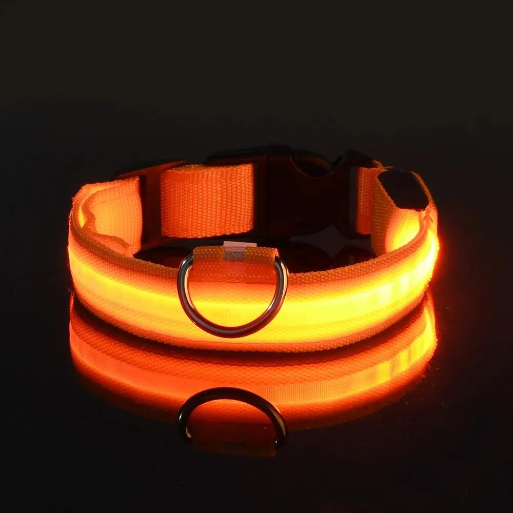Luminous Fluorescent Pet Dog Collar