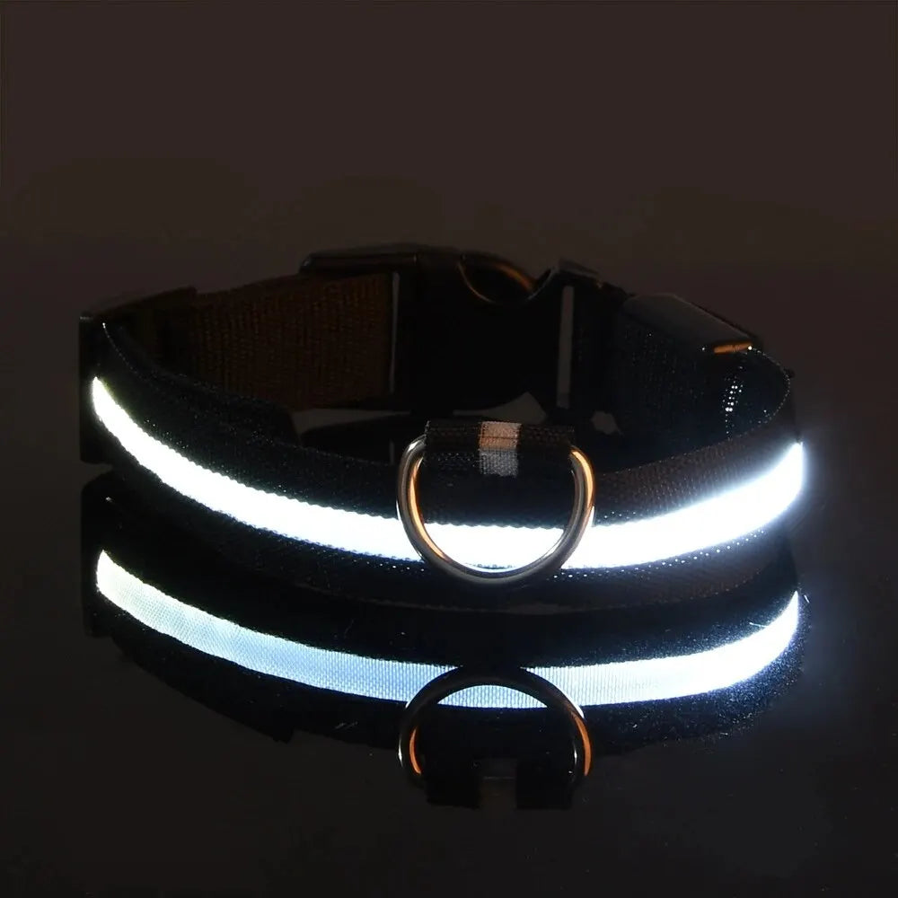 Luminous Fluorescent Pet Dog Collar
