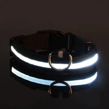 Luminous Fluorescent Pet Dog Collar