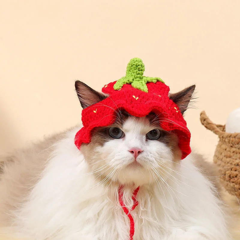 Cute Cat Hat
