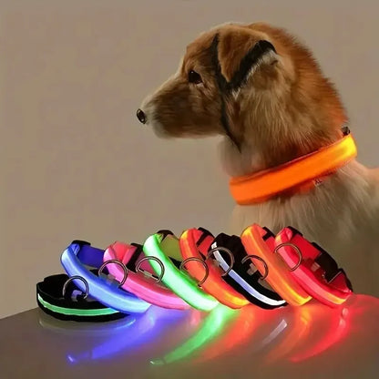 Luminous Fluorescent Pet Dog Collar